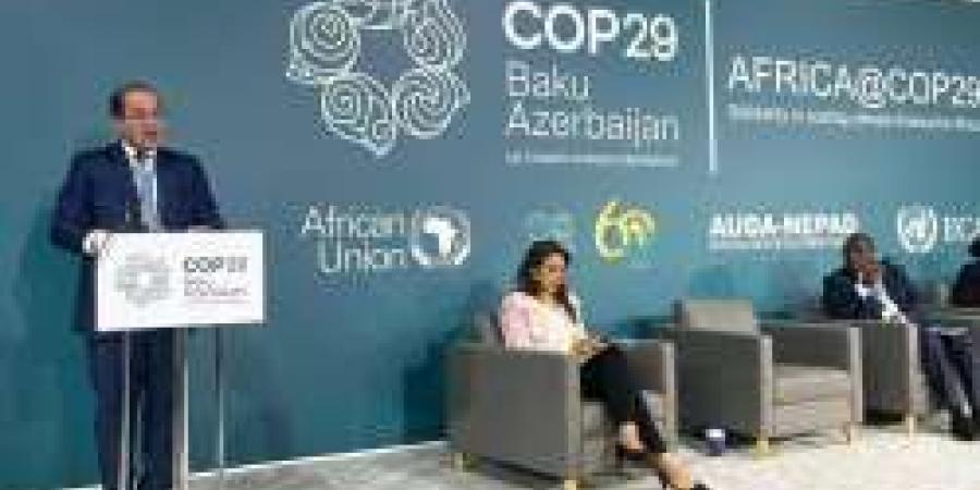 وزير المالية يدعو لتضافر الجهود الدولية في التمويل المناخي بمؤتمر COP29 - نبض مصر