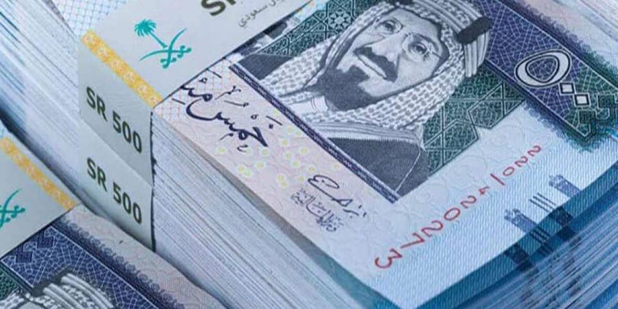 13.13 جنيه للشراء.. سعر الريال السعودي اليوم الجمعة 15 نوفمبر مقابل الجنيه المصري - نبض مصر