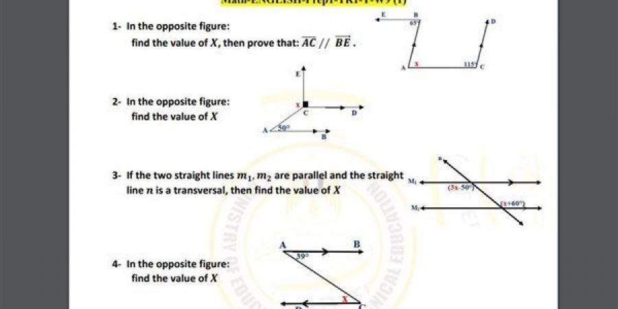 مراجعات نهائية.. أسئلة تقييم الأسبوع التاسع الرياضيات math لـ الصف الأول الإعدادي - نبض مصر