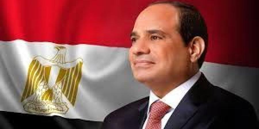 أخبار مصر اليوم.. الرئيس السيسي يصل البرازيل للمشاركة في قمة مجموعة العشرين 2024 - نبض مصر