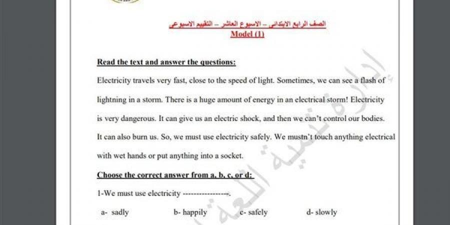 مراجعات نهائية.. أسئلة تقييم الاسبوع العاشر في اللغة الإنجليزية الصف الرابع الابتدائي - نبض مصر