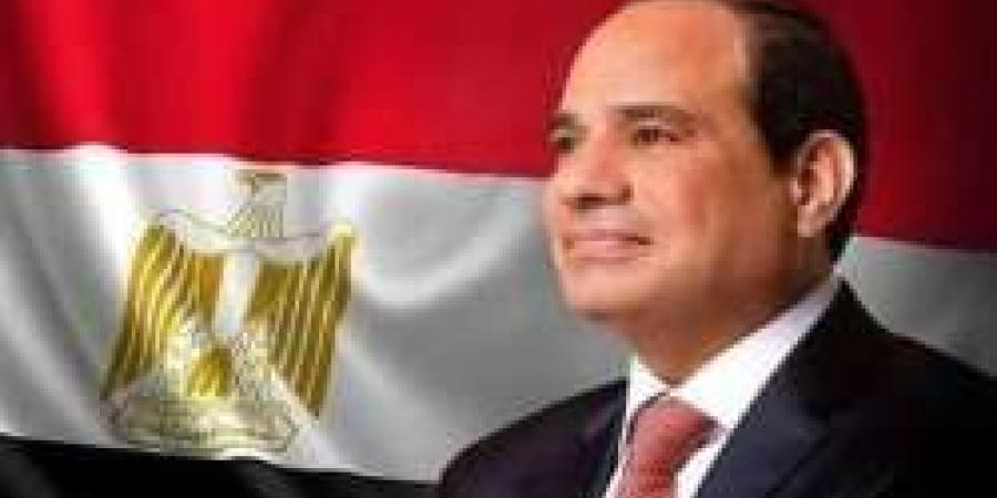 السيسي يصل البرازيل للمشاركة في قمة العشرين 2024 - نبض مصر