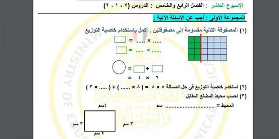 مراجعات نهائية.. أسئلة تقييم الاسبوع العاشر في الرياضيات الصف الثالث الابتدائي - نبض مصر