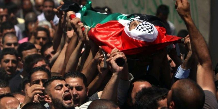 إعلام فلسطيني: استشهاد 8 أشخاص وإصابة 40 آخرين في قصف إسرائيلي - نبض مصر