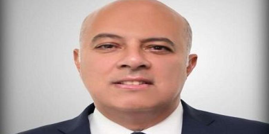 تعيين السفير محمد الشناوي متحدثا لرئاسة الجمهورية.. تعرف على سيرته الذاتية - نبض مصر