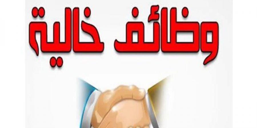 وظائف خالية في شركات المقاولات.. بمرتبات مجزية - نبض مصر