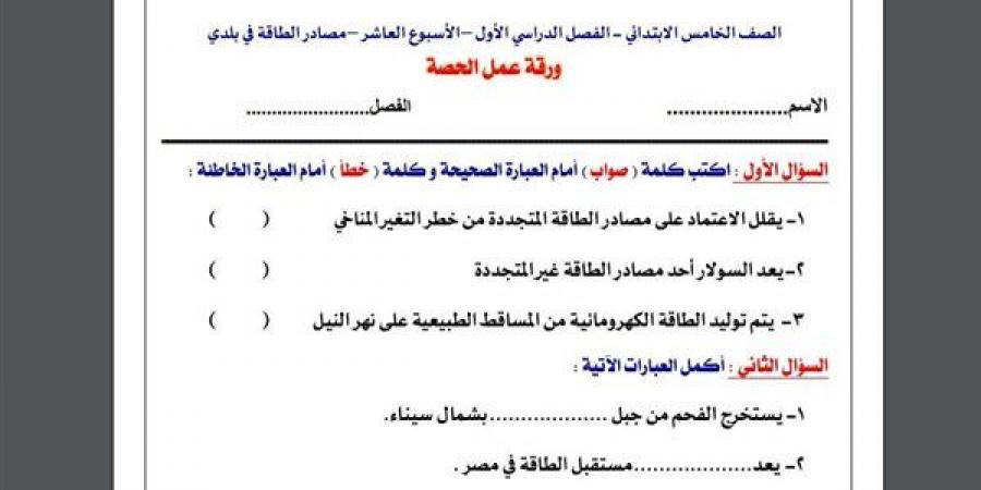 مراجعات نهائية.. أسئلة تقييم الاسبوع العاشر في الدراسات الاجتماعية الصف الخامس الابتدائي - نبض مصر