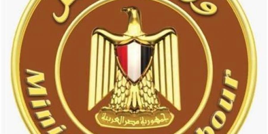 وزير العمل ومحافظ الشرقية يسلمان عقود عمل لذوي الهمم - نبض مصر