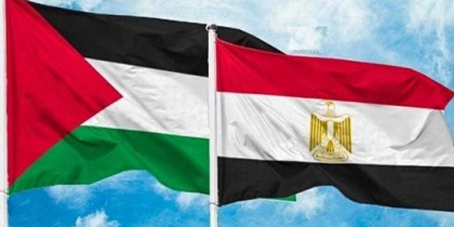 خبير: مصر لم تدخر جهدا لدعم القضية الفلسطينية وتحشد لإيجاد حل سياسي للأزمة - نبض مصر