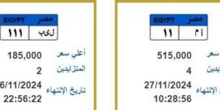 مود ونور وسيف لوحة عربيتك باسمك .. والأسعار تتجاوز نصف مليون جنيه l صور - نبض مصر