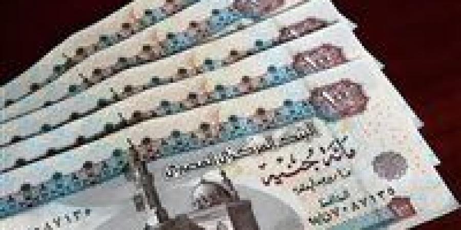 6000 جنيه.. بشرى سارة بشأن أجور المعلمين بالمدارس الخاصة (إنفوجراف) - نبض مصر