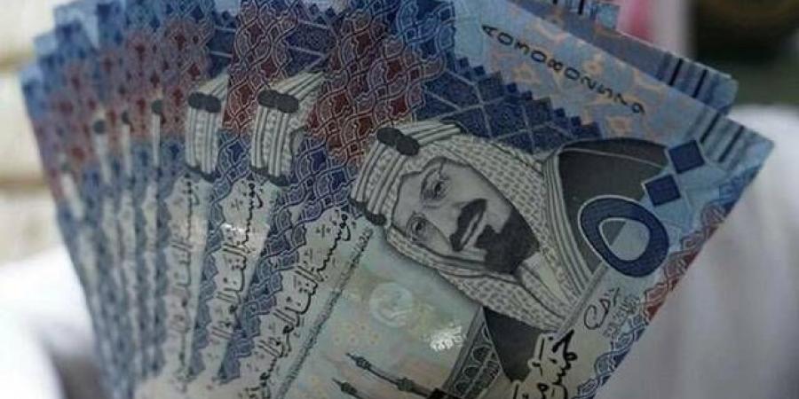 أرباح قطاع الخدمات الاستهلاكية بـ"تداول" تتراجع إلى 381 مليون ريال بالربع الثالث - نبض مصر