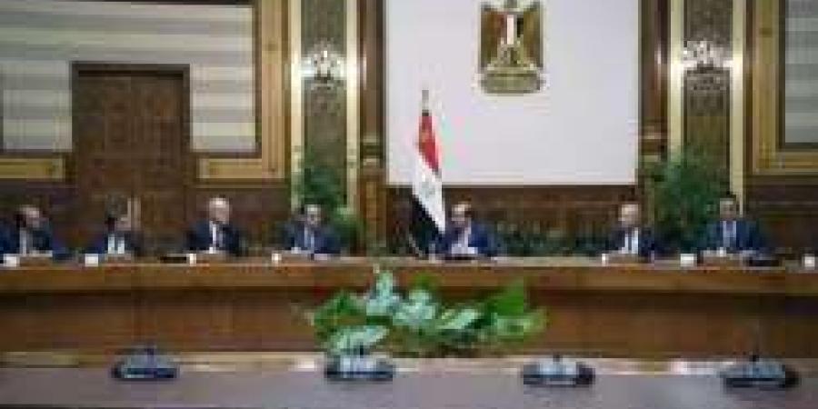 الرئيس السيسي: مصر بذلت جهودًا مكثفة على مدار عشر سنوات لتطوير الصناعة - نبض مصر