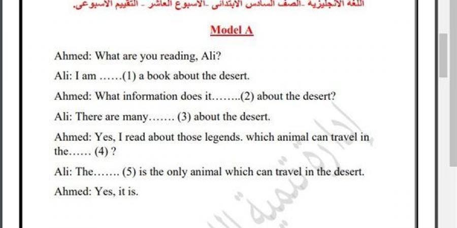 مراجعات نهائية.. أسئلة تقييم الاسبوع الـ 11 في اللغة الإنجليزية الصف السادس الابتدائي - نبض مصر