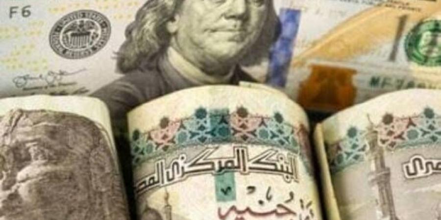 منظمة العمل الدولية: ارتفاع الأجور 1.8% بجميع أنحاء العالم في 2023 - نبض مصر