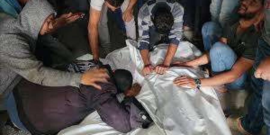 سقوط 7 فلسطينيين جراء قصف إسرائيلي بمناطق متفرقة فى قطاع غزة - نبض مصر