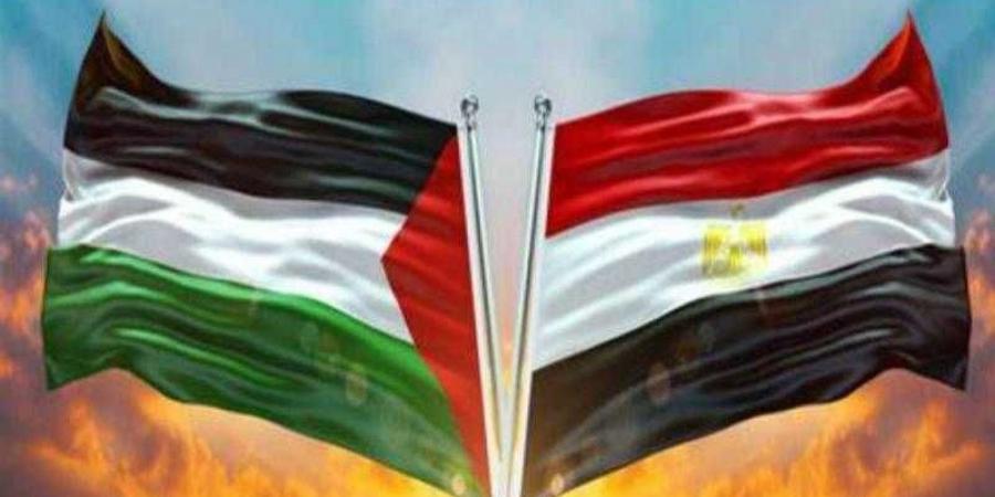 مصر تنتصر لفلسطين.. القاهرة تكثف جهودها لوقف إطلاق النار في غزة - نبض مصر