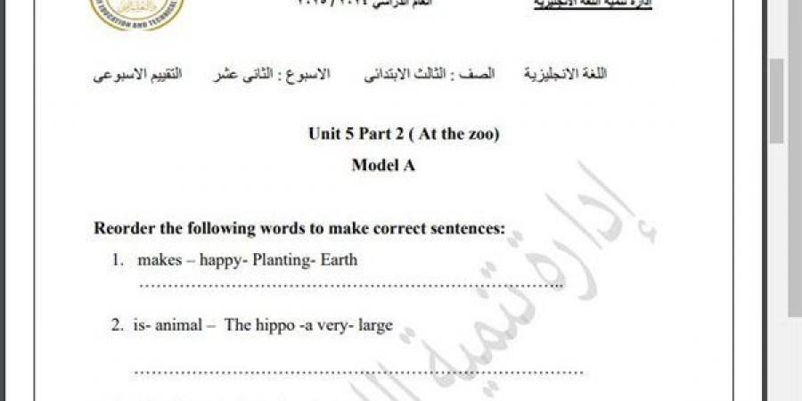 مراجعات نهائية.. أسئلة تقييم الاسبوع الـ 12 في اللغة الإنجليزية الصف الثالث الابتدائي - نبض مصر