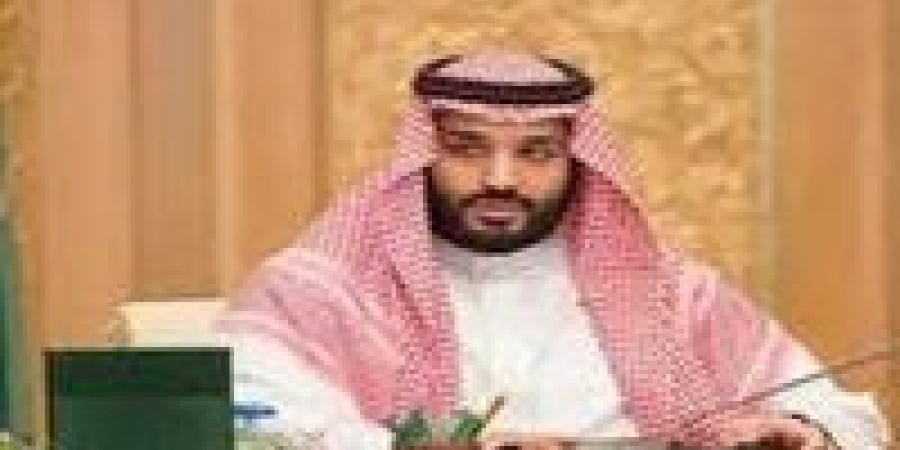 ولي العهد السعودي يطلق الاستراتيجية الوطنية لاستدامة البحر الأحمر