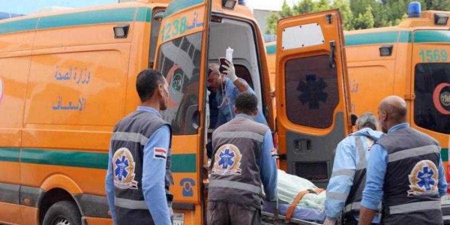 مصرع أب وإصابة نجله في حادث مروع بالغربية - نبض مصر