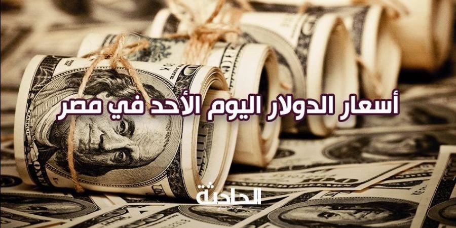 اتغابى.. سعر الدولار اليوم الأحد في مصر 8 ديسمبر 2024 تجاوز الـ50 - نبض مصر