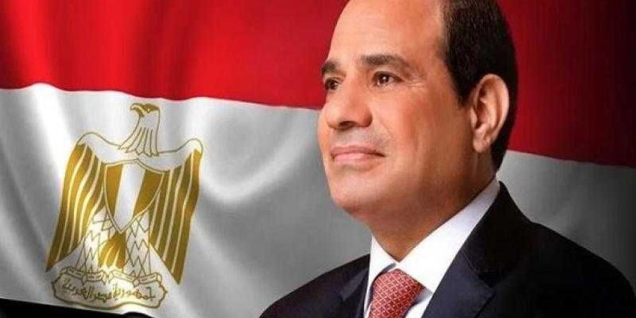 السيسي يشيد بالزخم الذي تشهده العلاقات المصرية النرويجية - نبض مصر