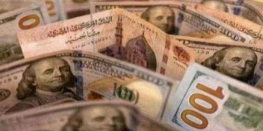 سعر الدولار اليوم في مصر الثلاثاء 10 ديسمبر 2024 - نبض مصر