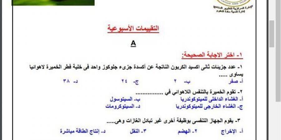 مراجعات نهائية.. أسئلة تقييم الأسبوع الـ 12 الأحياء الصف الثاني الثانوي - نبض مصر