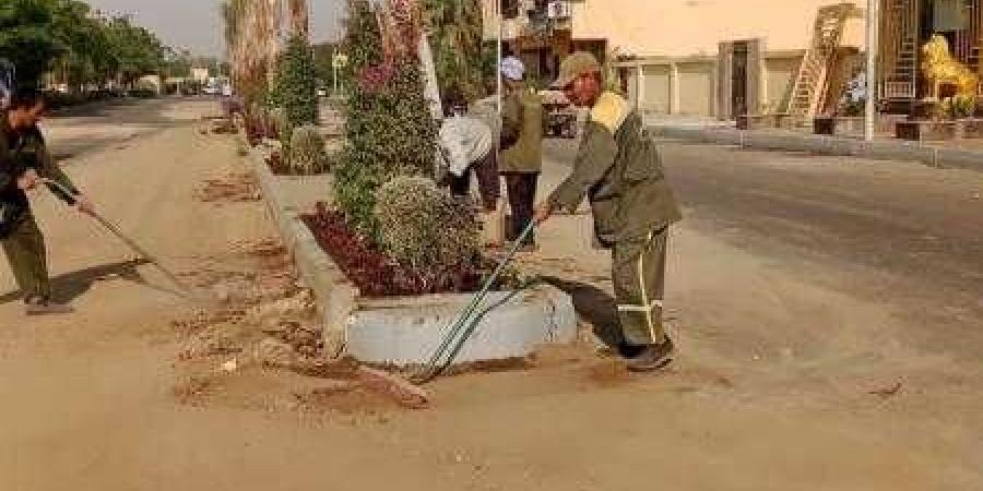 بدء تنفيذ أعمال تطوير وتشجير الجزيرة الوسطى في شارع سلمي سليم بالأقصر - نبض مصر