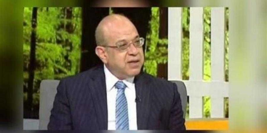 الشيتاني: حملات الرعاية الصحية تستهدف دعم الأسر المصرية وتوعيتهم - نبض مصر