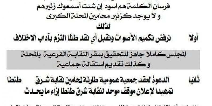 نرفض تكميم الأصوات.. محامين شرق طنطا ترد على علام بعد إحالته لعضو النقابة الفرعية - نبض مصر