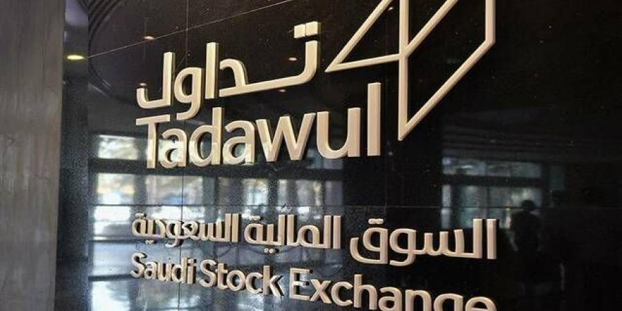 تحديد سعر طرح "نايس ون" عند 35 ريالا للسهم بنسبة تغطية 139.4 مرة - نبض مصر