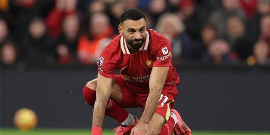 كأس كاراباو.. معلق مباراة ليفربول ضد ساوثهامبتون اليوم - نبض مصر