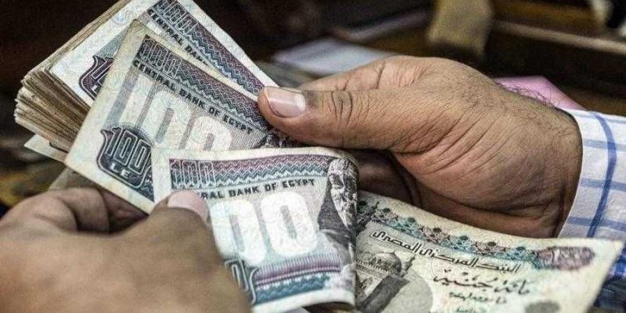 بعد زيادتها 1000 جنيه.. خطوات الحصول على منحة العمالة غير المنتظمة 2025 - نبض مصر