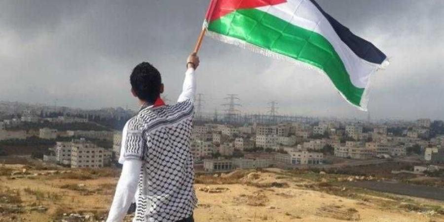 مندوب فلسطين بالأمم المتحدة: قادة الاحتلال يدهم ملطخة بدماء شعبنا - نبض مصر