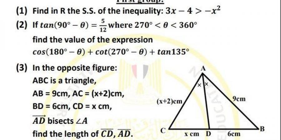 مراجعات نهائية.. أسئلة تقييم الأسبوع الـ 14 الرياضيات Math الصف الأول الثانوي - نبض مصر