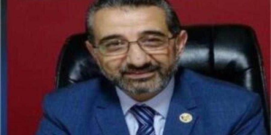 عمرو السمدوني: الرئيس السيسي عازم على تحويل مصر إلى مركز إقليمي للنقل وتجارة الترانزيت - نبض مصر