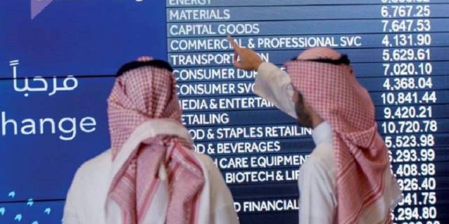 سهم "إكسترا" يتصدر تراجعات السوق السعودي بأعلى خسائر في 4 سنوات - نبض مصر