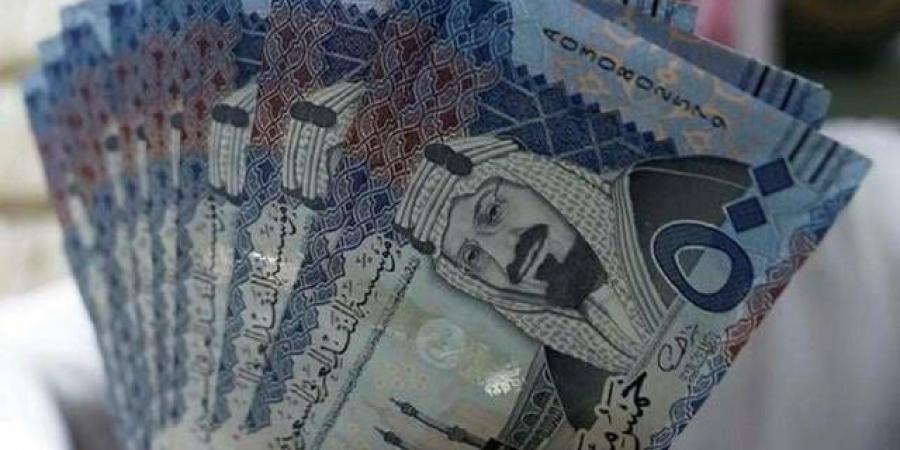 "نت وركرس" توقع اتفاقية تسهيلات ائتمانية مع "الراجحي" بـ50 مليون ريال - نبض مصر