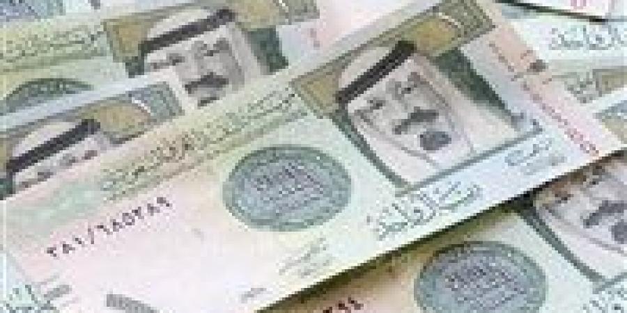 سعر الريال السعودي مقابل الجنيه المصري اليوم الأربعاء 25 ديسمبر 2024 - نبض مصر