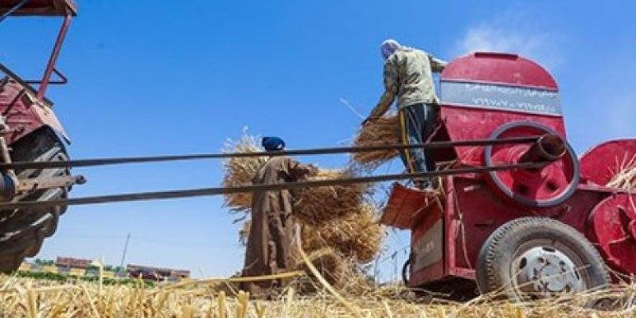 فقد زراعه على دراسة القش.. إصابة مؤلمة لعامل بالدقهلية - نبض مصر