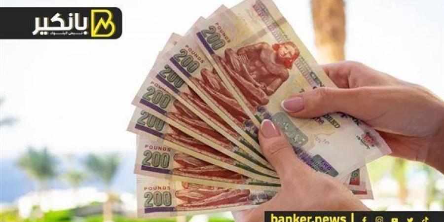 حساب توفير الجولد 2025.. حرية إختيار دورية صرف العائد - نبض مصر