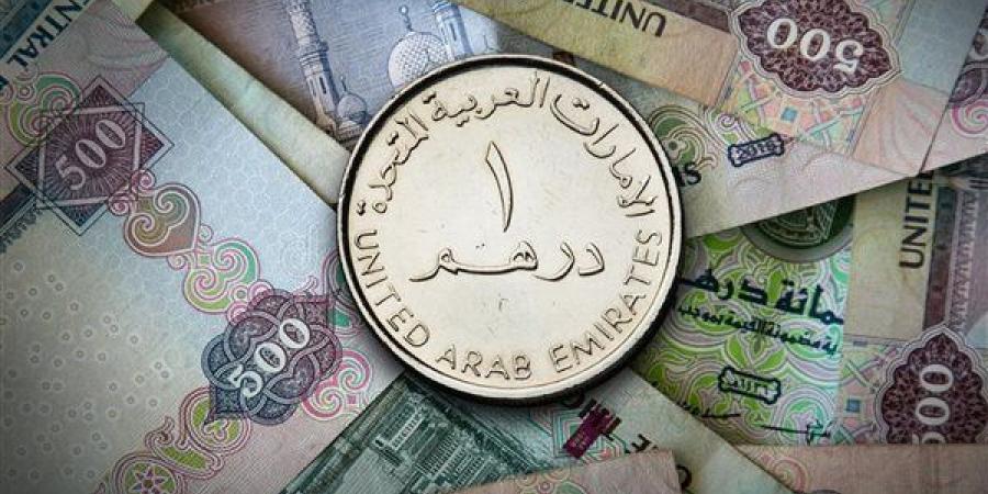 سعر الدرهم الإماراتي اليوم السبت 28-12-2024 في البنك المركزي المصري - نبض مصر