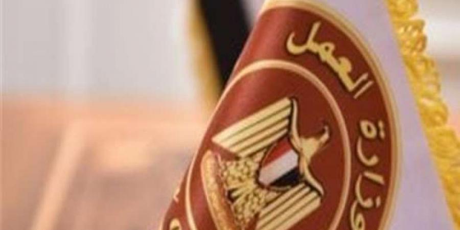 وزارة العمل تكشف تفاصيل وظائف عمل المصريين بالإمارات - نبض مصر