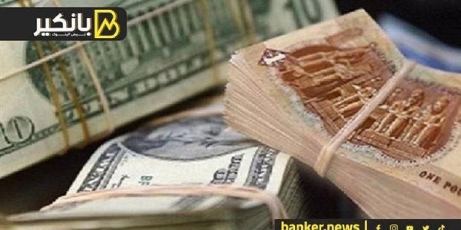 سعر الدولار أمام الجنيه المصري في تعاملات اليوم السبت 28-12-2024 - نبض مصر