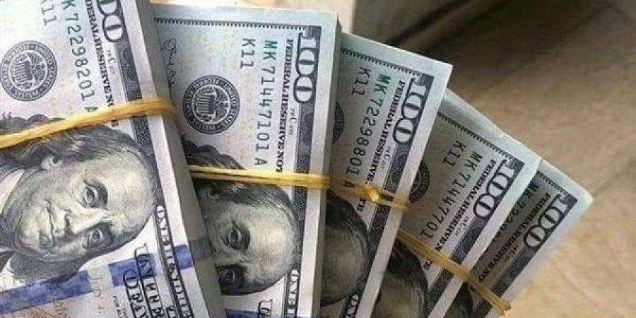 سعر الدولار اليوم أمام الجنيه المصري بجميع البنوك - نبض مصر