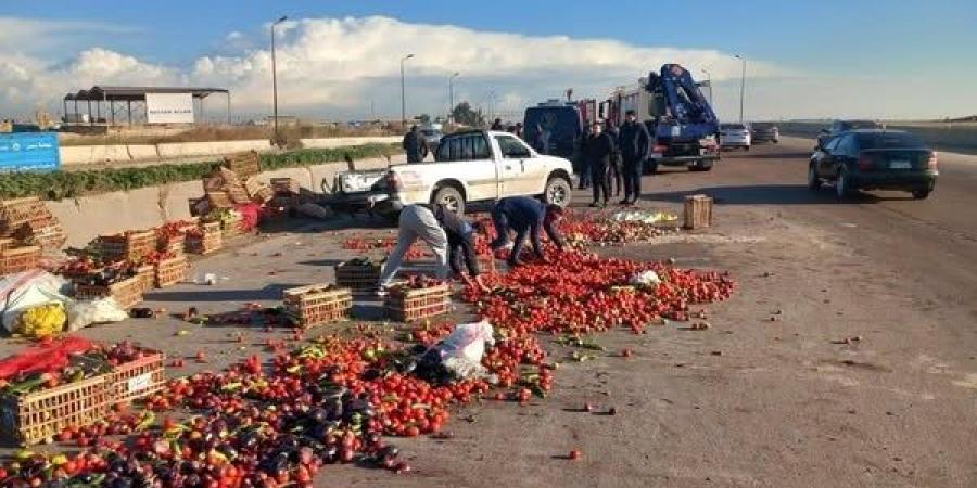 الطريق الصحراوي يتحول إلى سوق خضار بعد انقلاب سيارة طماطم - نبض مصر