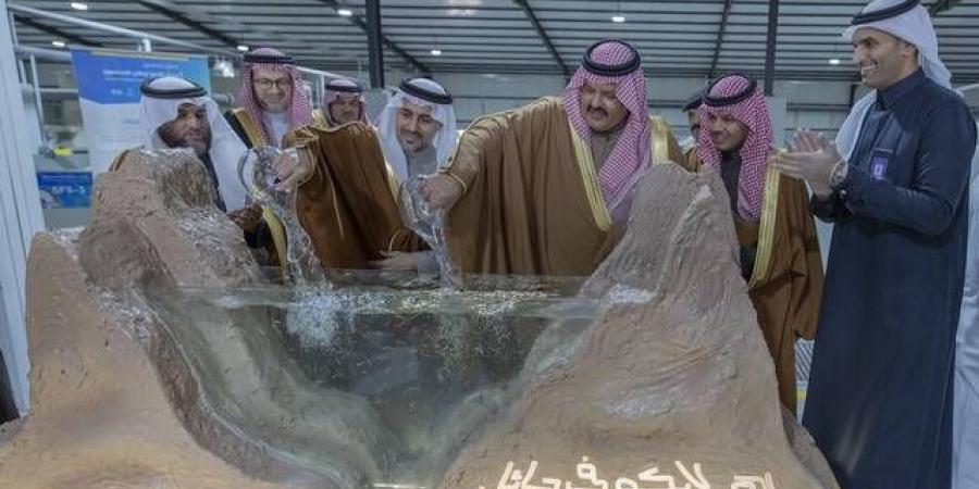 السعودية تدشن مركزاً لإنتاج السلمون في حائل.. ينتج 12 ألف طن سنوياً - نبض مصر