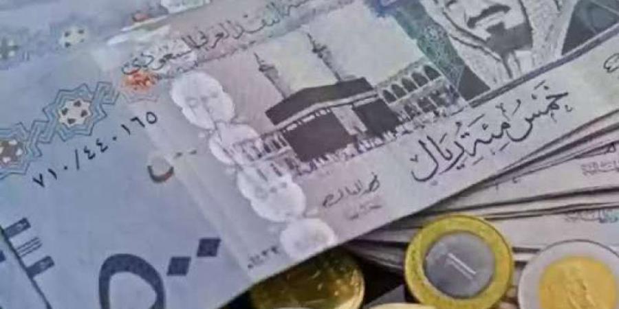 يا رايحين للنبي الغالي.. استقرار سعر الريال السعودي اليوم الأحد 29 ديسمبر 2024 بالبنوك المصرية - نبض مصر