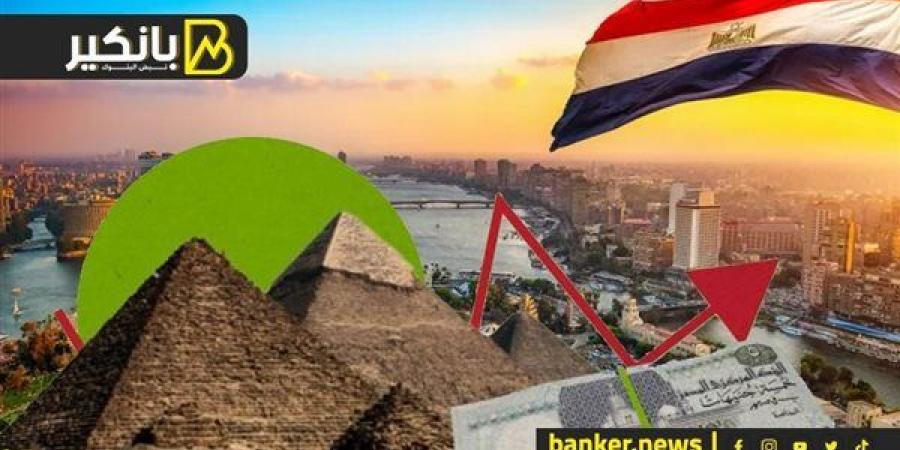 دعم غير مسبوق للزراعة والصناعة والسياحة.. بنوك مصر ضهر البلد وقت الأزمات الكبرى - نبض مصر